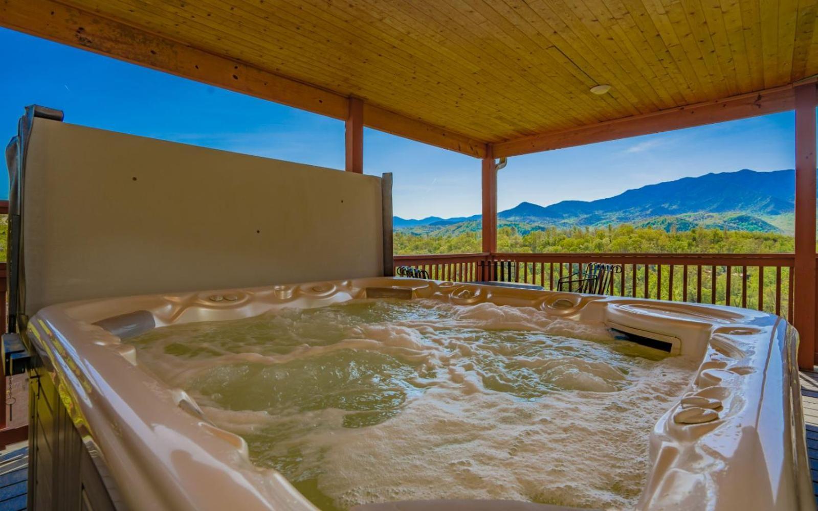 Beartastic Mountain View Lodge جاتلينبرج المظهر الخارجي الصورة