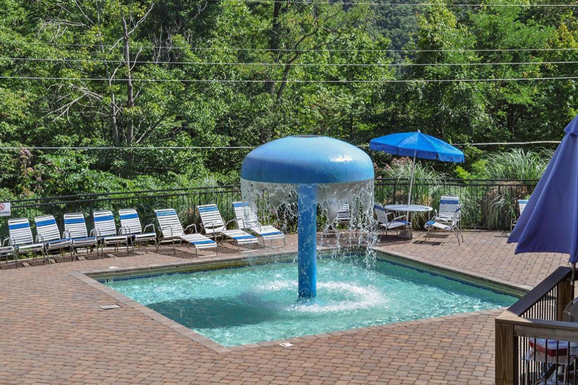 Beartastic Mountain View Lodge جاتلينبرج المظهر الخارجي الصورة