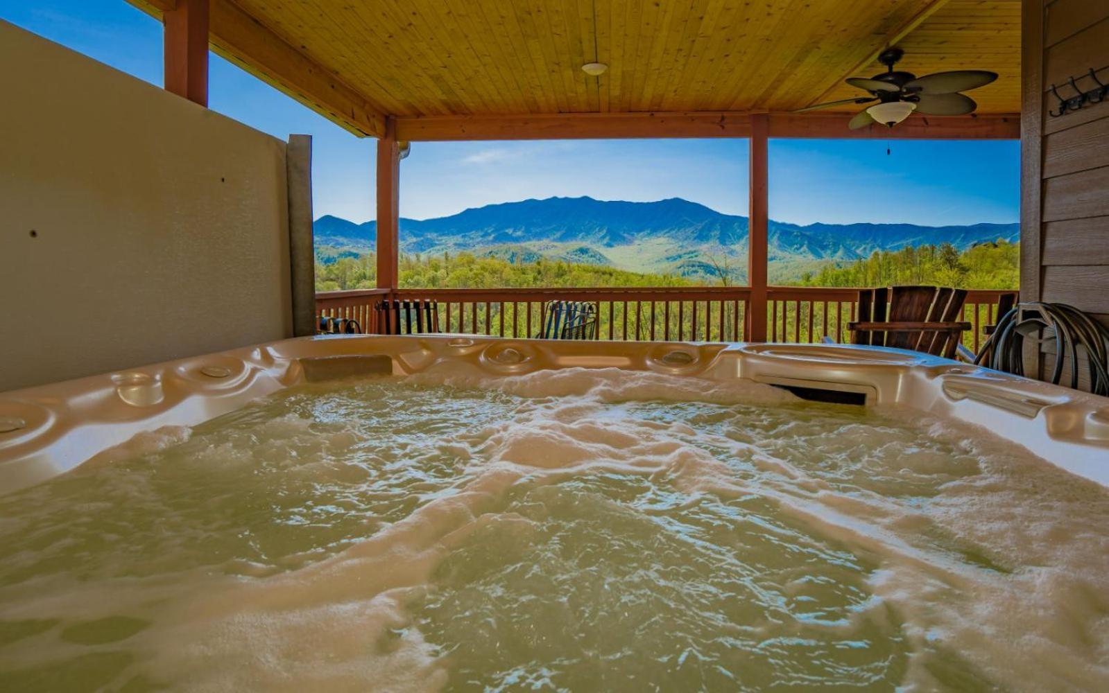Beartastic Mountain View Lodge جاتلينبرج المظهر الخارجي الصورة