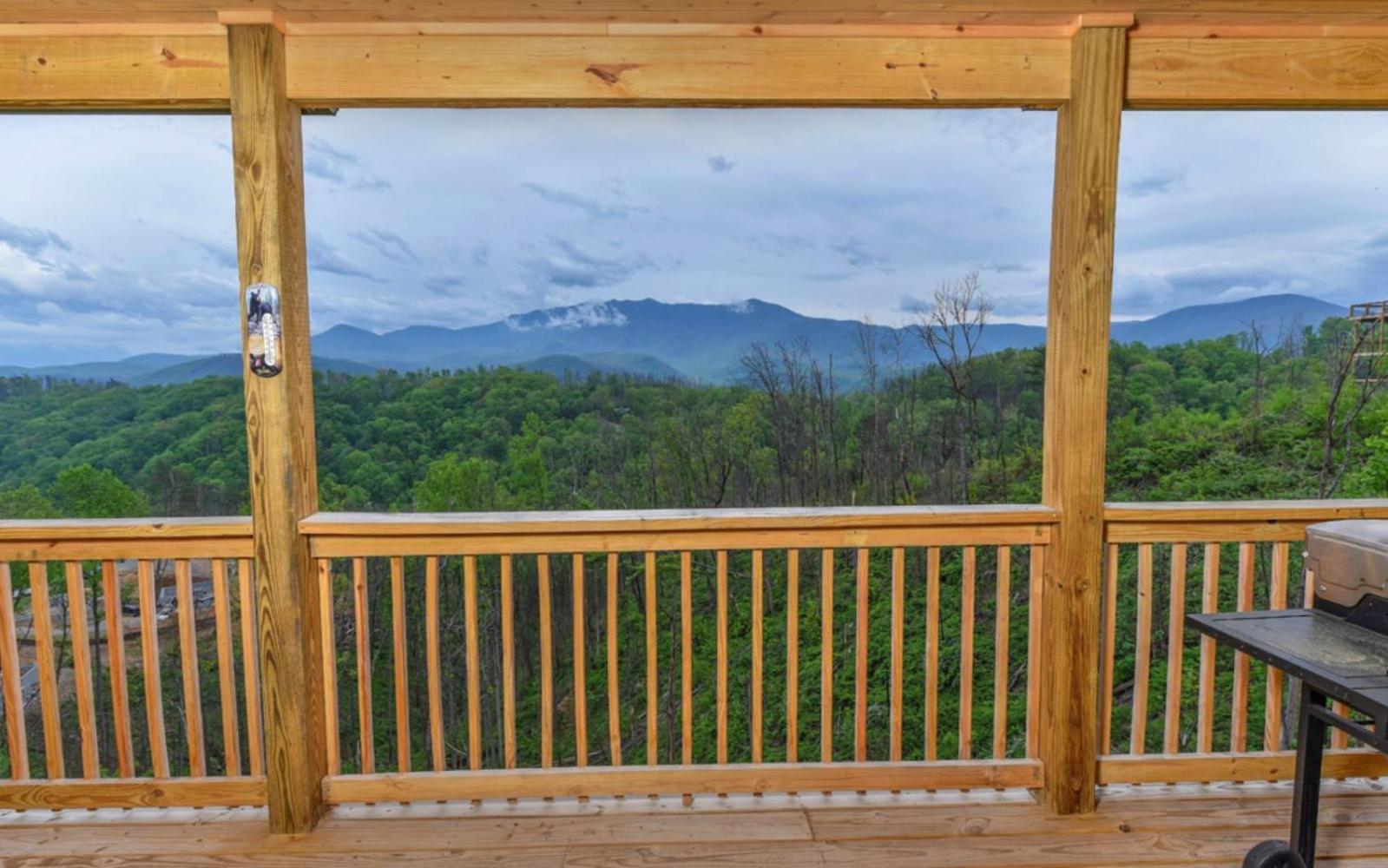 Beartastic Mountain View Lodge جاتلينبرج المظهر الخارجي الصورة