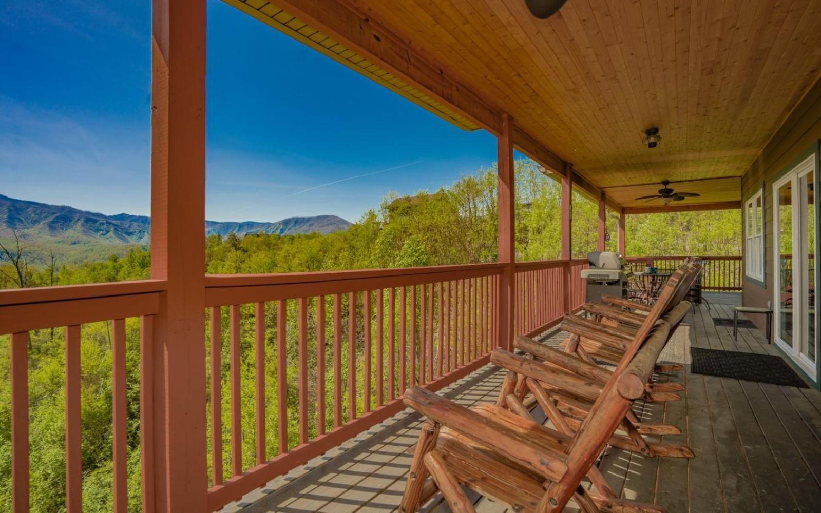 Beartastic Mountain View Lodge جاتلينبرج المظهر الخارجي الصورة